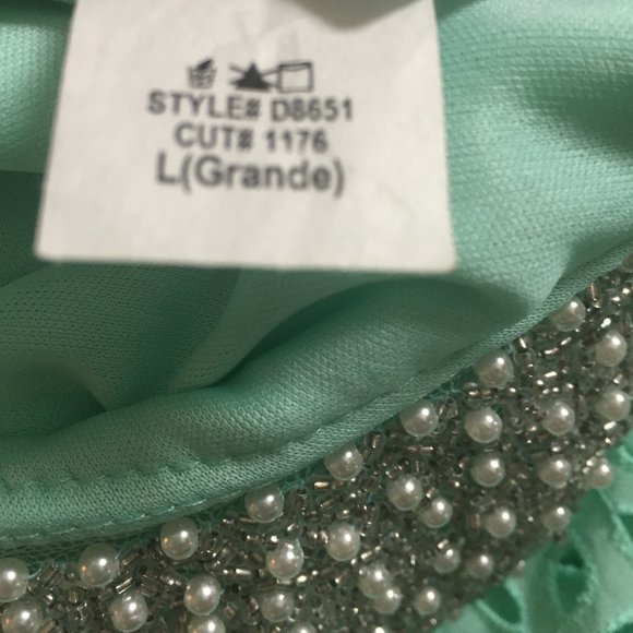 Grad Dress Mint Embroidered Lace Beaded Collar - Picture 11 of 16